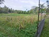 Dijual Cepat Tanah Kavlingan