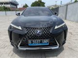 2022 Lexus ux 300e