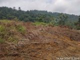 Dijual kavlingan tanah untuk Kuburan 1 kavling 200 m harga 60jt nego