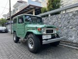 1979 Toyota land cruiser